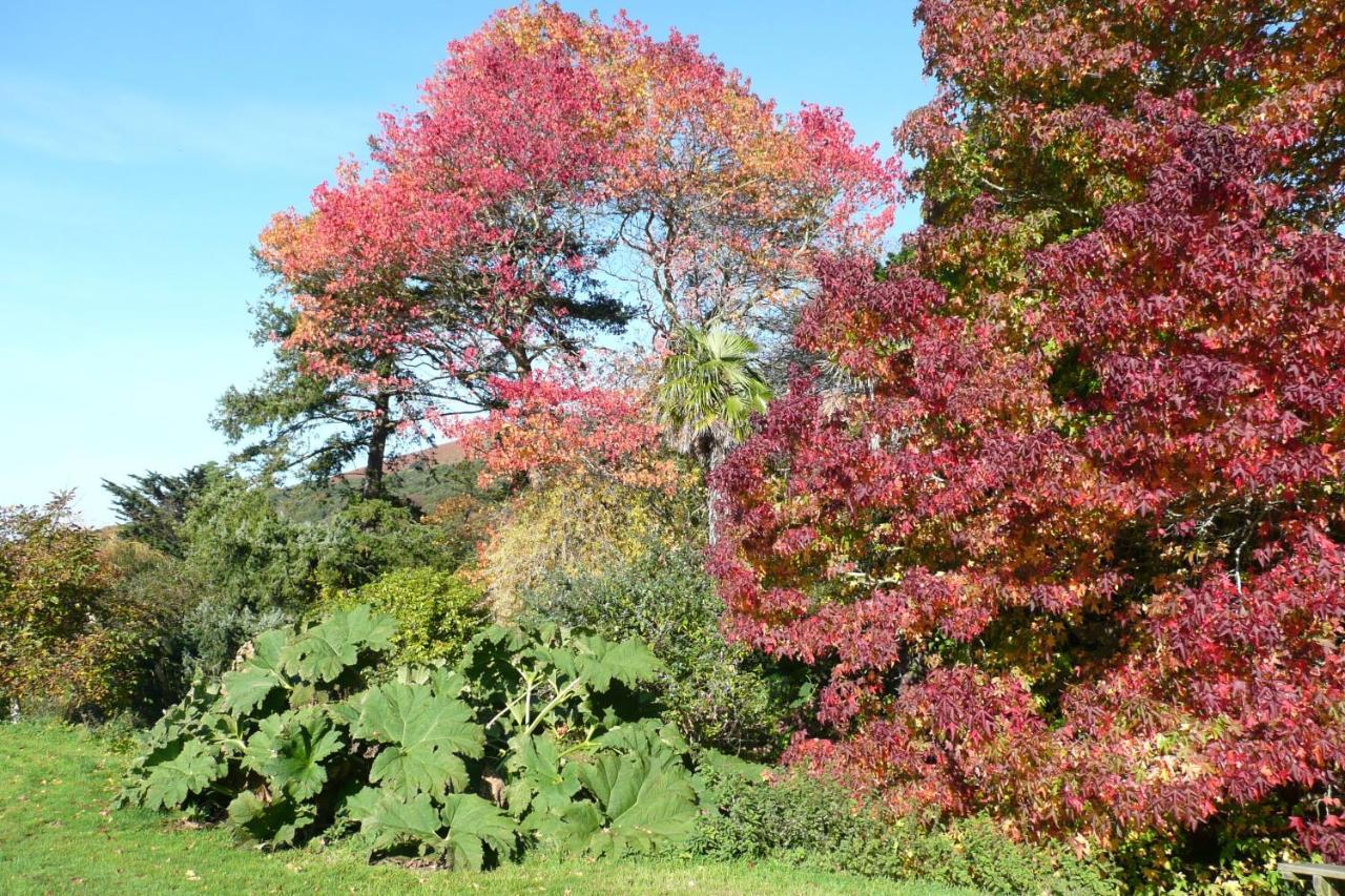 Luxury Bed And Breakfast At Bossington Hall In Exmoor, Somerset 波洛克 外观 照片