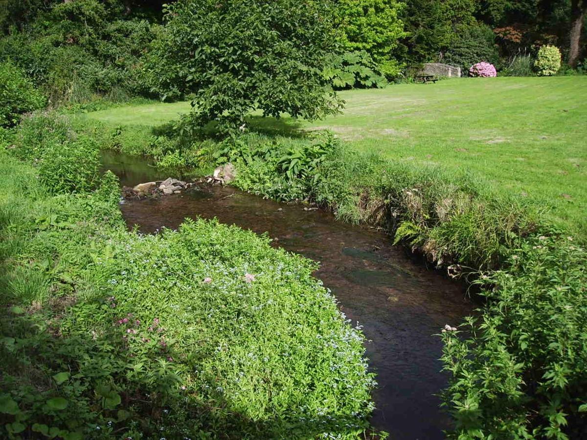 Luxury Bed And Breakfast At Bossington Hall In Exmoor, Somerset 波洛克 外观 照片
